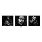 Bob Marley Fotoramar från 1art1 