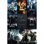 Harry Potter Posters från 1art1 