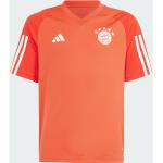 Vita Bayern Munchen Fotbollskläder för barn från adidas Tiro 23 