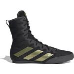 Adidas Box Hog 4 Shoes Träningsskor Core Black / Gold Metallic / Grey Six Core black / gold metallic / grey six