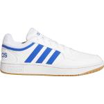 Adidas M Hoops 3.0 Sneakers Ftwwht/Royblu Ftwwht/royblu