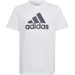 adidas Performance T-shirt - U BL Tee - Vit/Svart