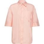 Ljusrosa Kortärmade Kortärmade skjortor i Storlek XS för Damer 