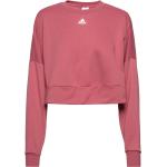 Rosa Sweatshirts från adidas Performance för Damer 