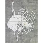 Artery8 Hokusai skalle ribbbur makabre japansk mål