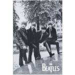 Flerfärgade The Beatles Posters från Artopweb 