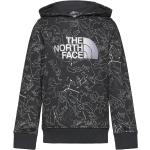 B Drew Peak P/O Hoodie Print Sport Sweat-shirts & Hoodies Hoodies Grey The North Face
