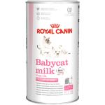 Babycat Milk Starter Mjölk för katt 300 g - Katt - Kattfoder & kattmat - Mjölkersättning för kattungar - Royal Canin - ZOO.se