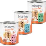 Våtfoder till hundar från Briantos 6 delar 