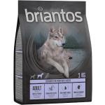 Briantos Grain Free Adult Anka & potatis - 1 kg