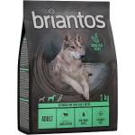 Briantos Grain Free Adult Lamm & potatis - 1 kg