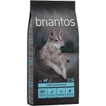 Briantos Grain Free Adult Lax & potatis - Ekonomipack: 2 x 12 kg