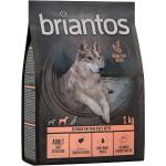 Briantos Grain Free Adult Light/Sterilised Kalkon & potatis - Ekonomipack: 4 x 1 kg