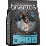 Briantos Grain Free Adult Mini Lax & potatis - 1 kg