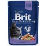 Brit Premium Portionspåsar Med Torsk För Katter