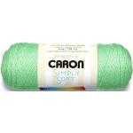 Caron Simply Soft Garn Brites- 170g- Limelight