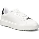 Vita Sneakers från Steve Madden 