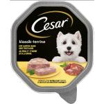 Våtfoder till hundar från Cesar 