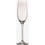 Champagneglas från LEONARDO 6 delar i Glas 