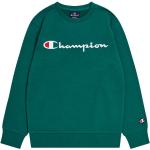 Sweatshirts för barn från Champion i Storlek 170 