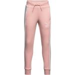 Classics T7 Track Pants Tr Cl G Sport Sweatpants Pink PUMA