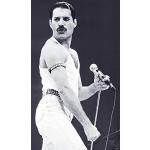 Close Up Queen Poster Freddie Mercury (84 cm x 59,5 cm)