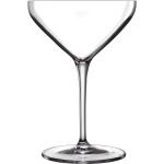 Martiniglas från Luigi Bormioli 
