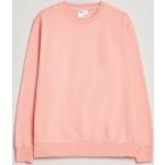 Ekologiska Rosa Sweatshirts från Colorful Standard i Storlek M med Rund ringning för Herrar 