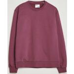 Ekologiska Plommonfärgade Sweatshirts från Colorful Standard i Storlek XL med Rund ringning för Herrar 