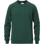 Ekologiska Smaragdgröna Sweatshirts från Colorful Standard i Storlek S med Rund ringning för Herrar 