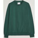 Ekologiska Smaragdgröna Sweatshirts från Colorful Standard i Storlek XS med Rund ringning för Herrar 