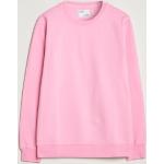 Ekologiska Rosa Sweatshirts från Colorful Standard i Storlek L med Rund ringning för Herrar 