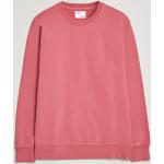 Ekologiska Rosa Sweatshirts från Colorful Standard i Storlek XL med Rund ringning för Herrar 