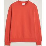 Ekologiska Röda Sweatshirts från Colorful Standard i Storlek XL med Rund ringning för Herrar 