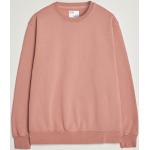 Ekologiska Rosa Sweatshirts från Colorful Standard i Storlek XXL med Rund ringning för Herrar 