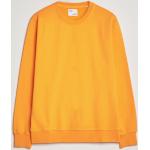 Ekologiska Orange Sweatshirts från Colorful Standard i Storlek L med Rund ringning för Herrar 