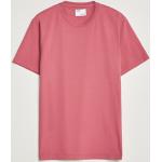 Ekologiska Rosa Kortärmade Kortärmade T-shirts från Colorful Standard i Storlek L med Rund ringning för Herrar 