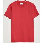 Ekologiska Röda Kortärmade Kortärmade T-shirts från Colorful Standard i Storlek S med Rund ringning för Herrar 