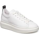 Vita Låga sneakers från Pavement i storlek 36 