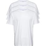 Vita Kortärmade Kortärmade T-shirts från Dickies i Storlek XS 
