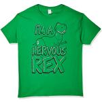 Disney Herr Toy Story Nervous Rex Graphic T-shirt