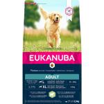 Torrfoder till hundar från Eukanuba Adult 