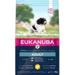 Dog Adult Medium 3 kg - Hund - Hundmat & Hundfoder - Torrfoder för hund - Eukanuba - ZOO.se