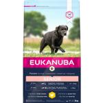 Dog Senior Large Breed Lamb & Rice 12 kg - Hund - Hundmat & Hundfoder - Torrfoder för hund - Eukanuba - ZOO.se