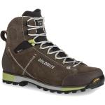 Dolomite Cinquantaquattro Hike Evo Goretex Hiking Boots Brun EU 42 1/2 Man