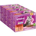 Ekonomipack: Whiskas Junior portionspåse 48 x 85 g - Klassiskt urval i sås