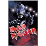 Empire 206503 affisch Iron Maiden - Visions of the