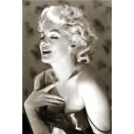 Marilyn Monroe Posters från 1art1 