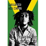 Flerfärgade Bob Marley Posters 