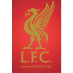 Flerfärgade Liverpool FC Affischramar från Empire Merchandising 